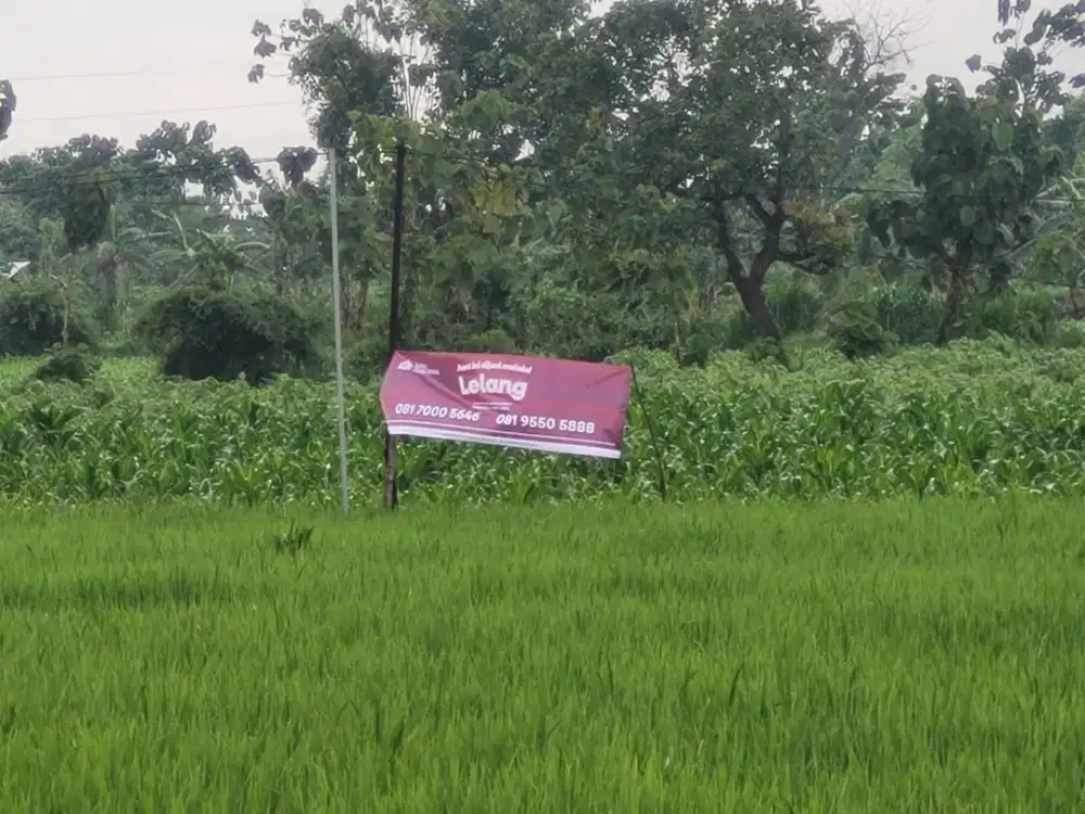 Tanah Strategis dan Murah di Kawasan Merakurak, Tuban dekat dengan Wisata Silowo Merakurak