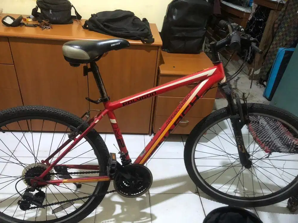 Sepeda Polygon Monarch M2