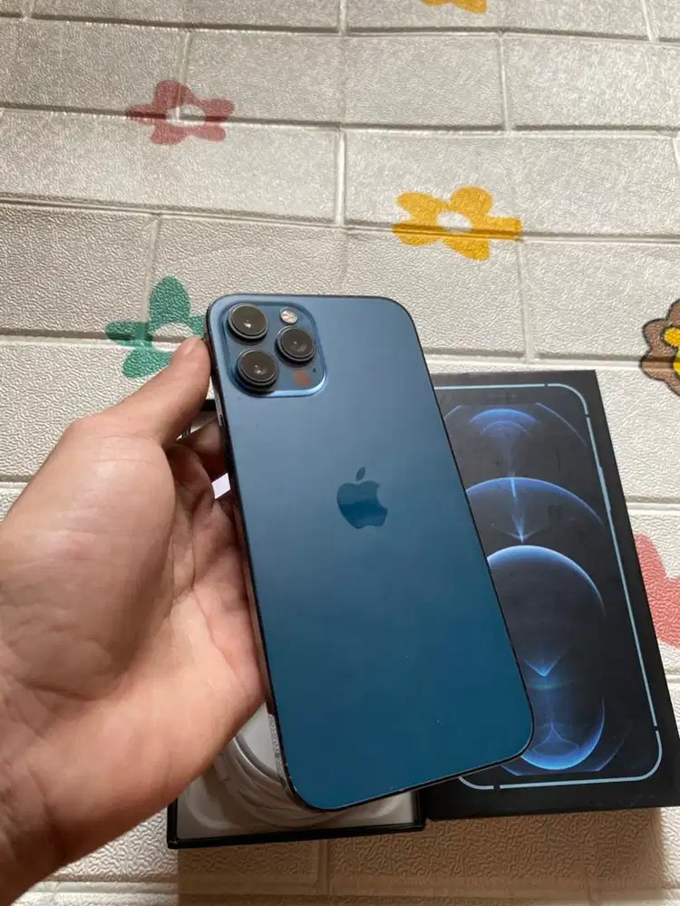 Iphone 12 promax 256gb inter dual sim warna pacific blue