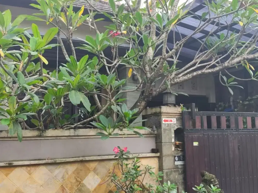 Dijual Rumah Design Bali Lokasi Asri di Abian Base, Mengwi, Badung.