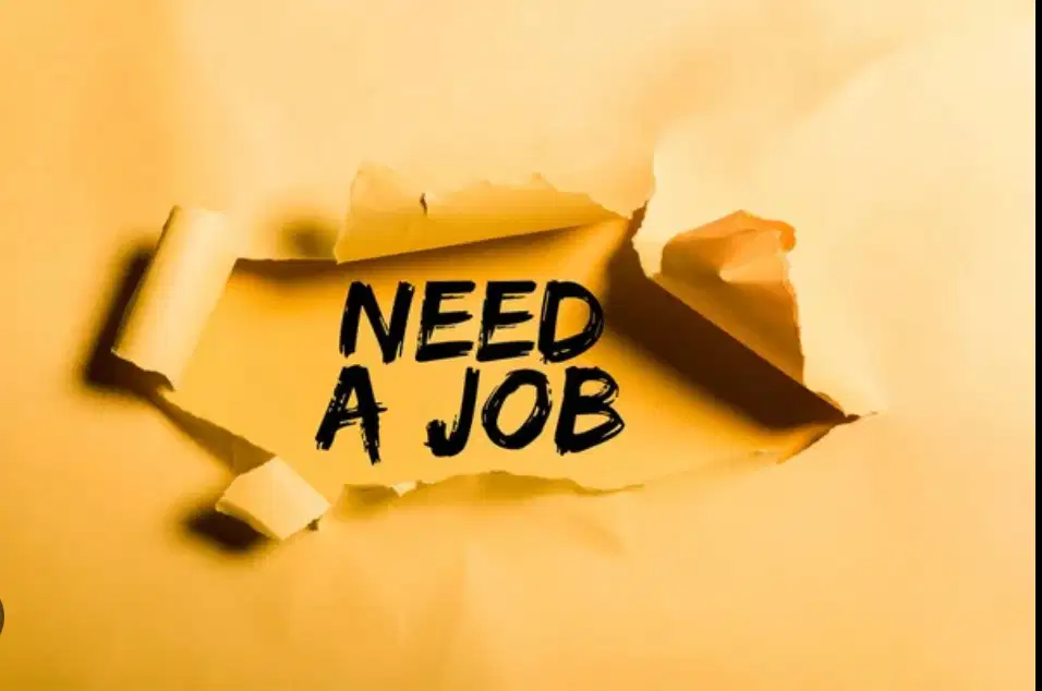 Dibutuhkan Host Dan Admin Market place Khusus Wanita