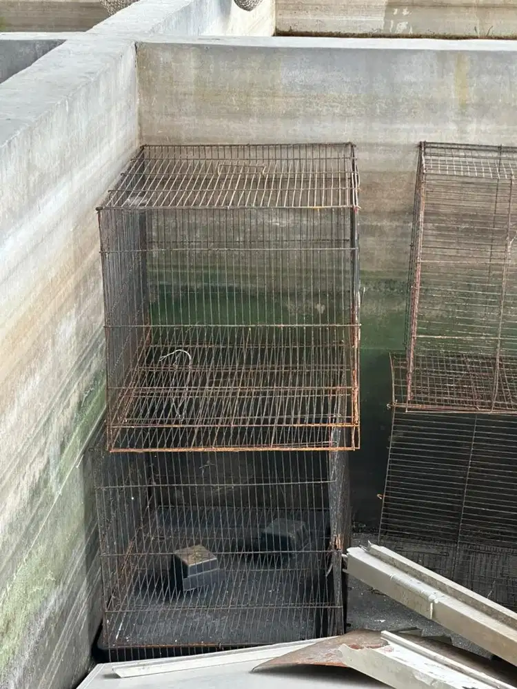 Kandang Hewan 5 unit