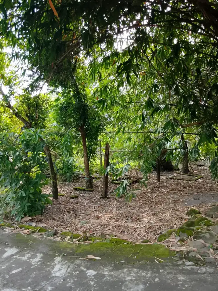 Tanah siap bangun do Ngaglik Sleman