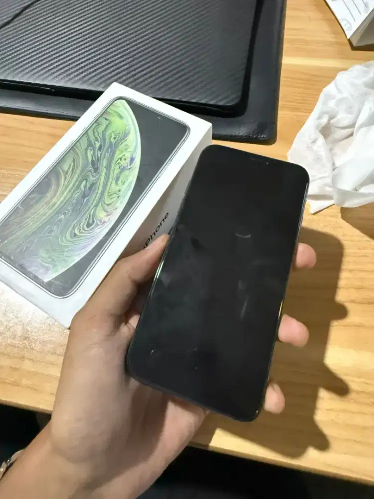 iPhone XS 256 GB
