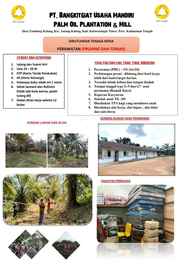 Lowongan Kerja Marketing Perkebunan Sawit