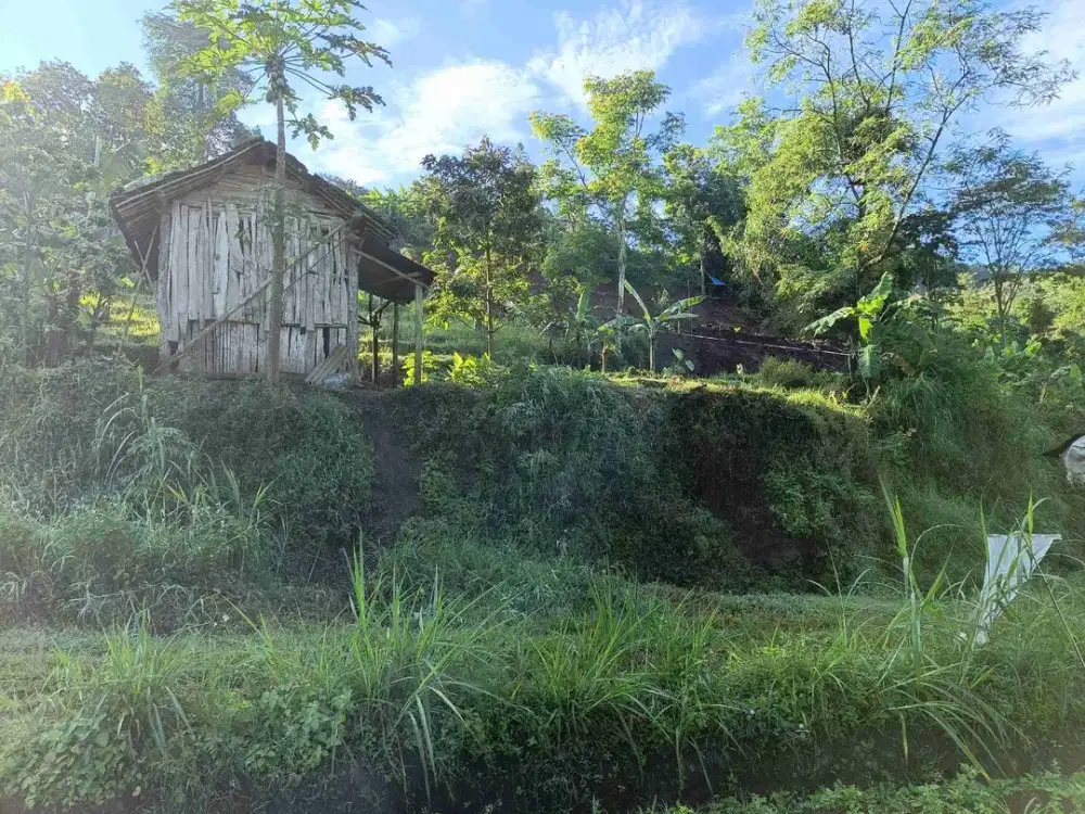 TANAH PACET IDEAL CANTIK SEJUK