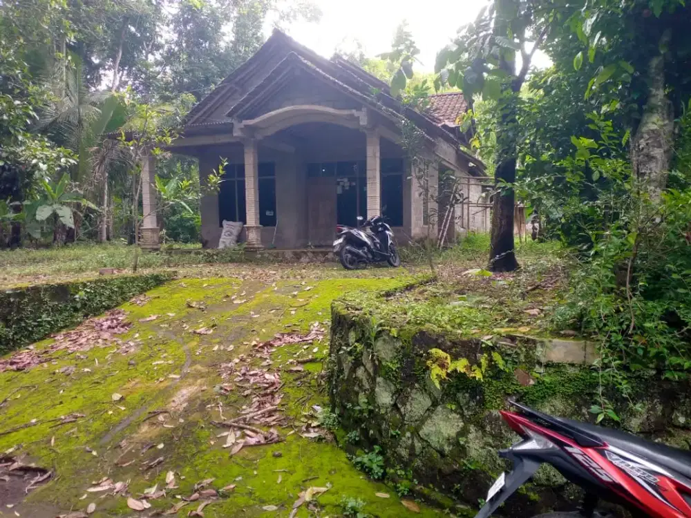 DIJUAL TANAH PEKARANGAN BONUS BANGUNAN HARGA MURAH AREA KEMALANG