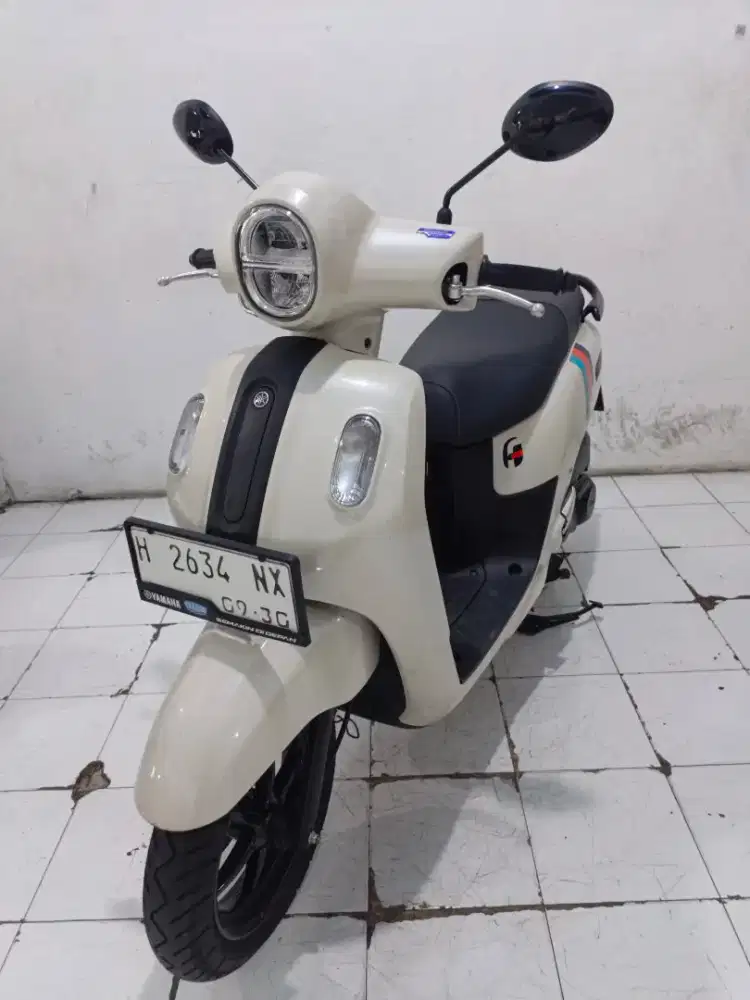 fazio istimewa 2025 putih