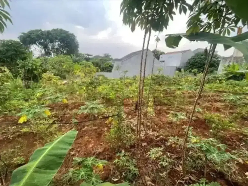 Dijual Lahan Hoki Ngantong Ukuran Luas, Meruya Selatan