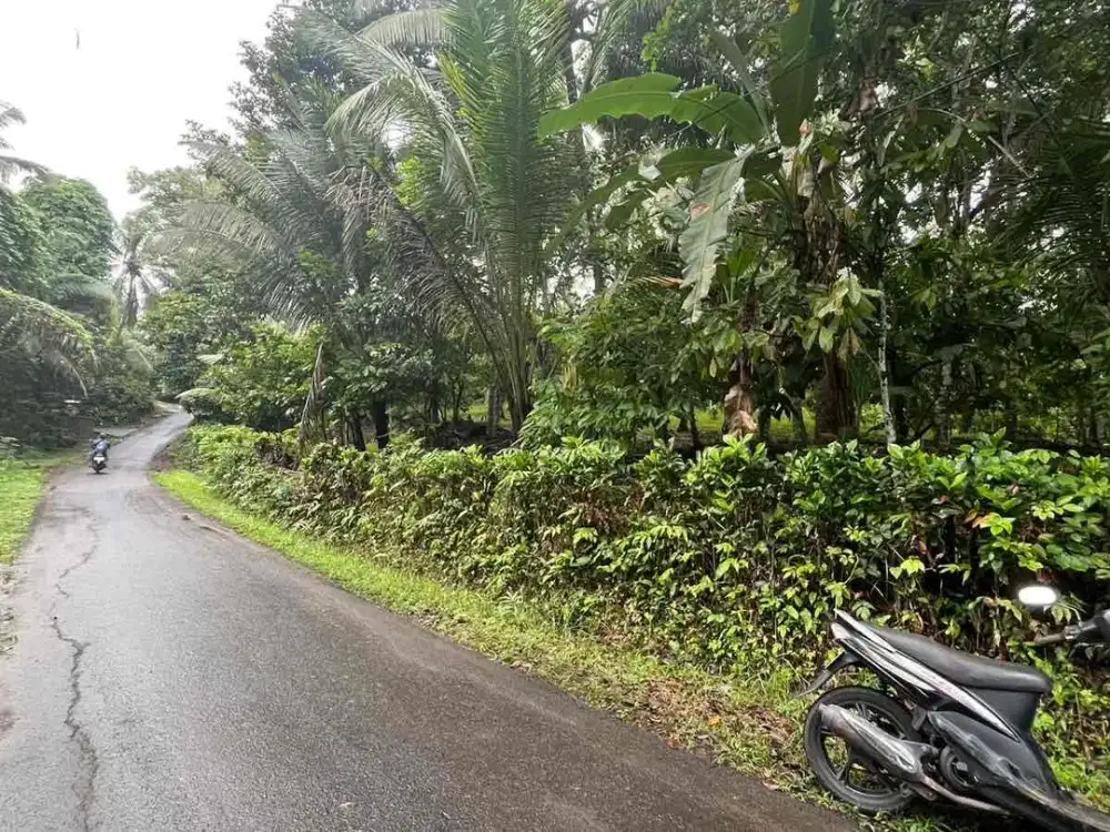 Dijual Tanah Kebun Area Villa Cocok Untuk Investasi Di Tabanan Bali