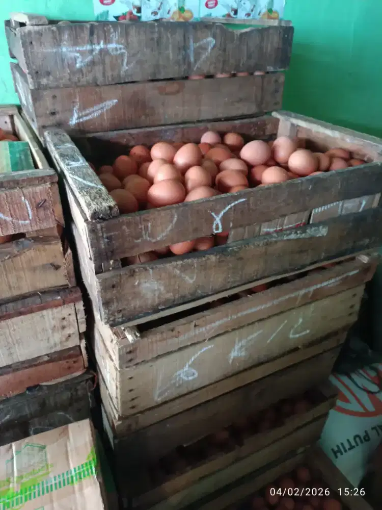 Karyawan toko untuk jaga gudang