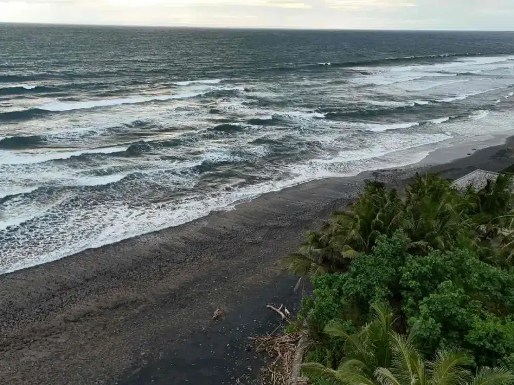 Tanah Los Pantai Luasan Kecil Di Tabanan Bali