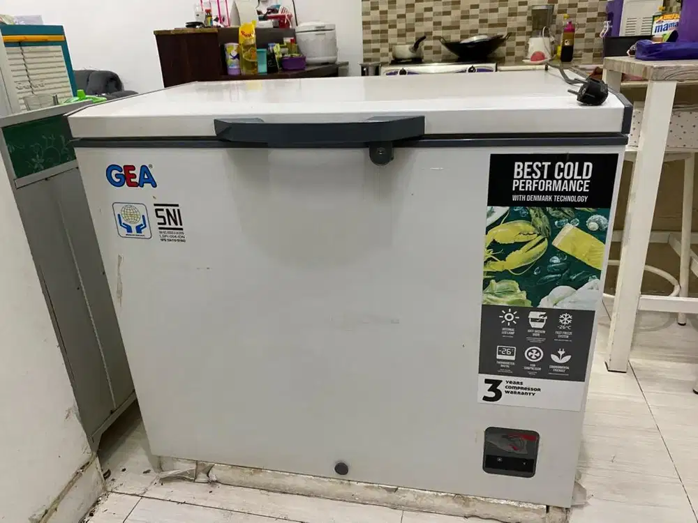 Freezer Box GEA 200 liter