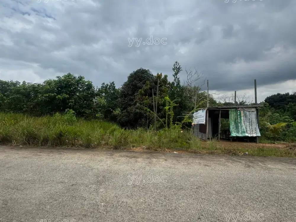 Tanah SHM Lokasi Strategis Km 8, Akses Jalan Beton Area Berkembang & Prospektif