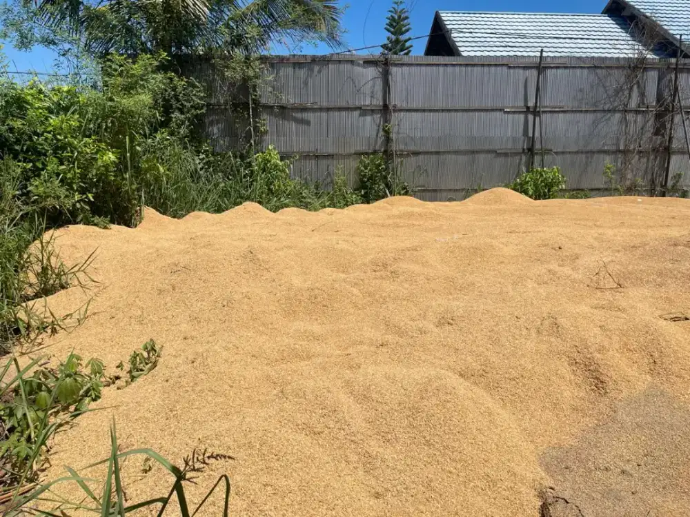 Jual sekam kering (gabah kulit padi)