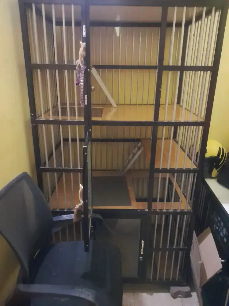 Kandang kucing 2 unit