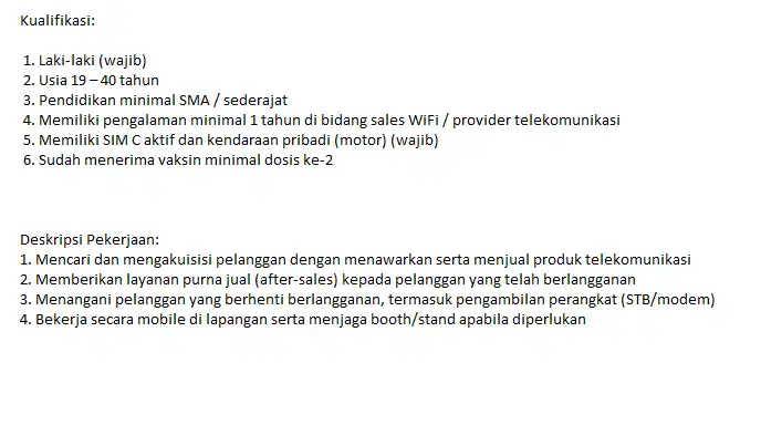 Sales Promotor Internet