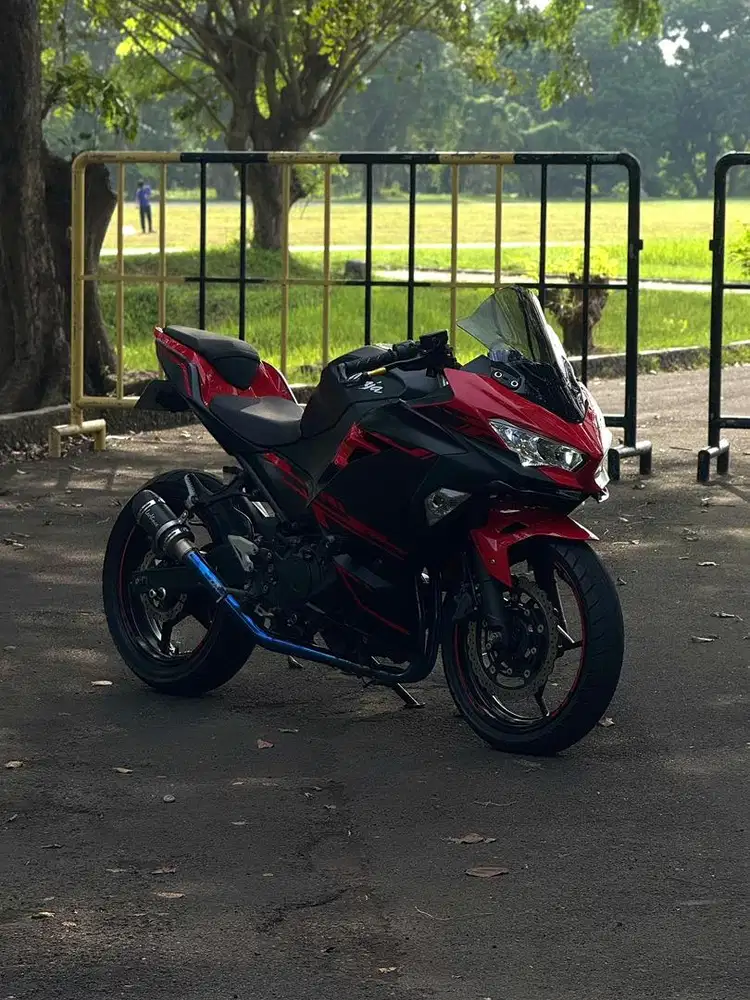 Kawasaki New Ninja 250 2018 Low Odo