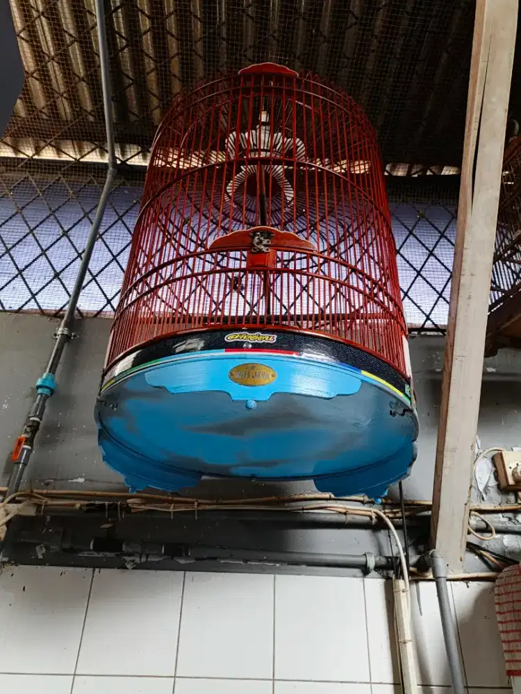 Kandang murai Batu no 2