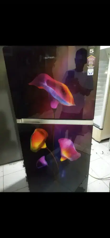 Jual bu kulkas 2 pintu merk POLYTRON BALEZZA ORISINIL