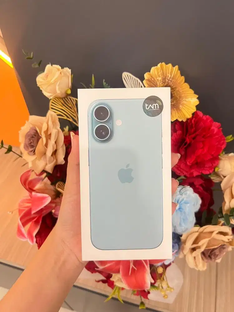 Ip 16 128 teal tam ibox