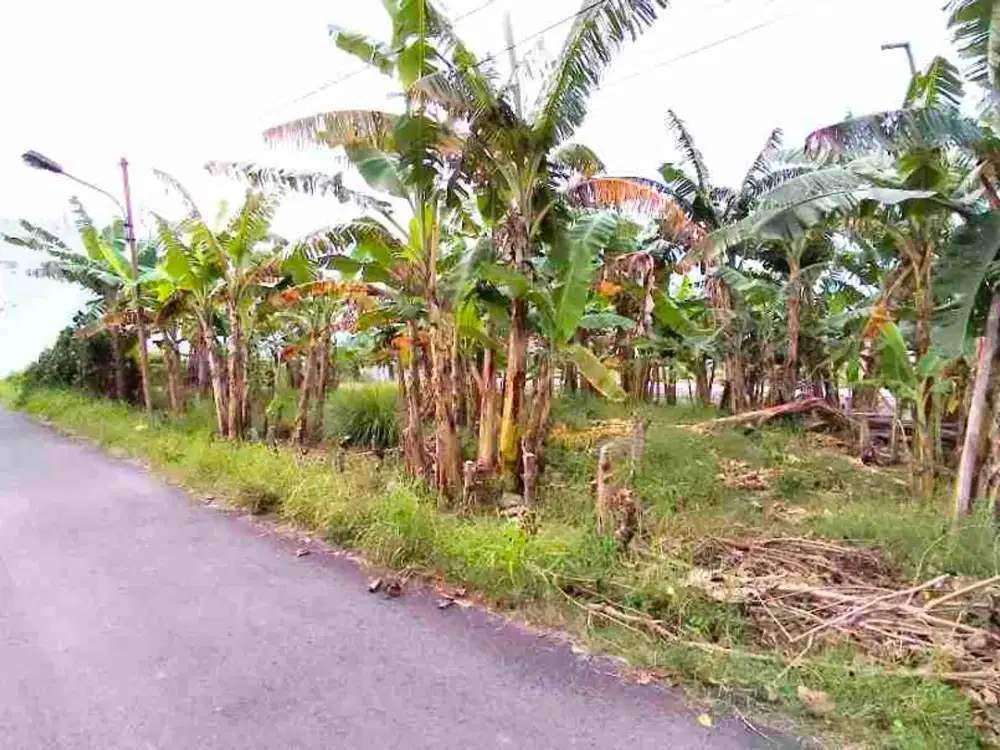 Tanah Karang Asem 223Mt, Ld 13Mt, dekat UMS, ATMI, Laweyan, Solo