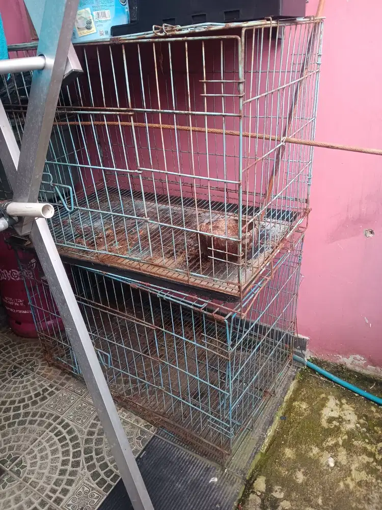 Kandang Kucing Bekas