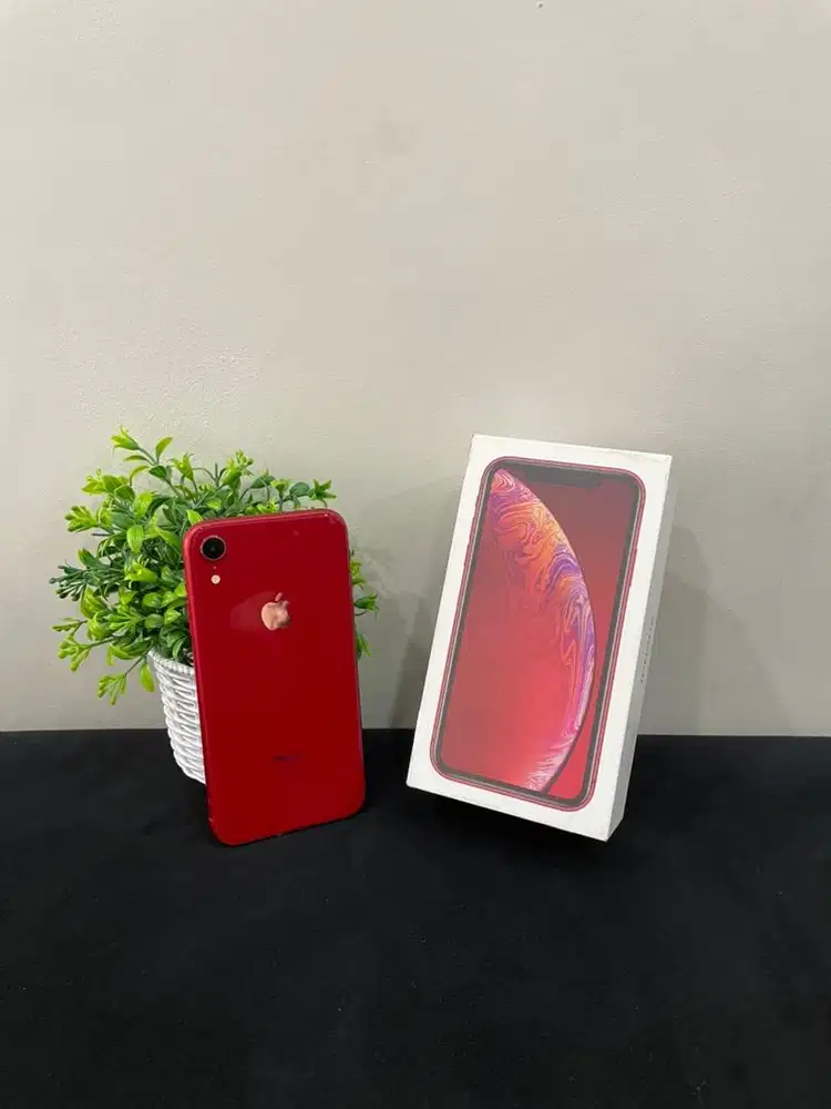 IPhone XR 128GB Red mulus Fullset BH 100% Sinyal SmartFren Only