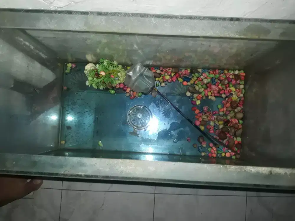 Aquarium ukuran sedang 80cm