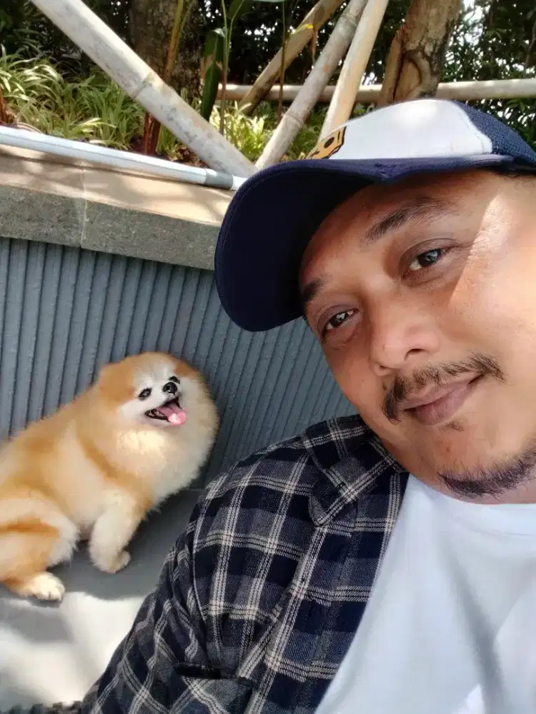 Driver profesional atau asisten pribadi