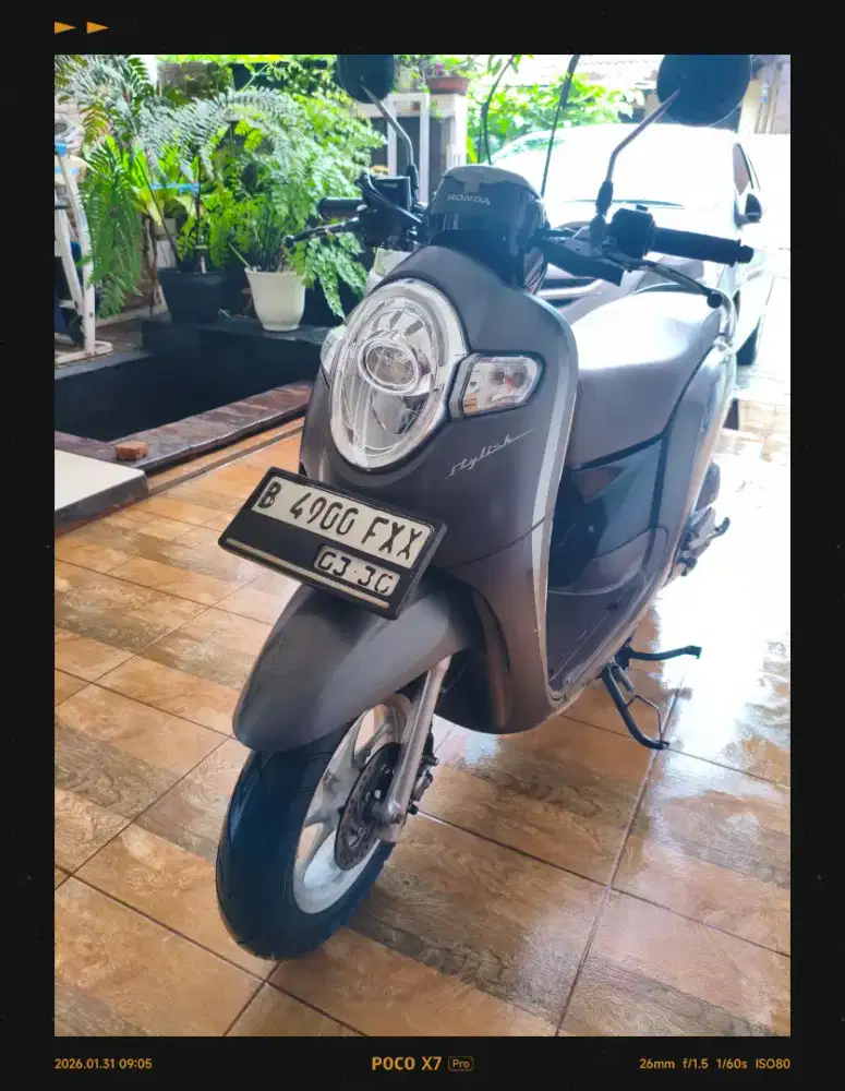 Honda Scoopy Donat 2019