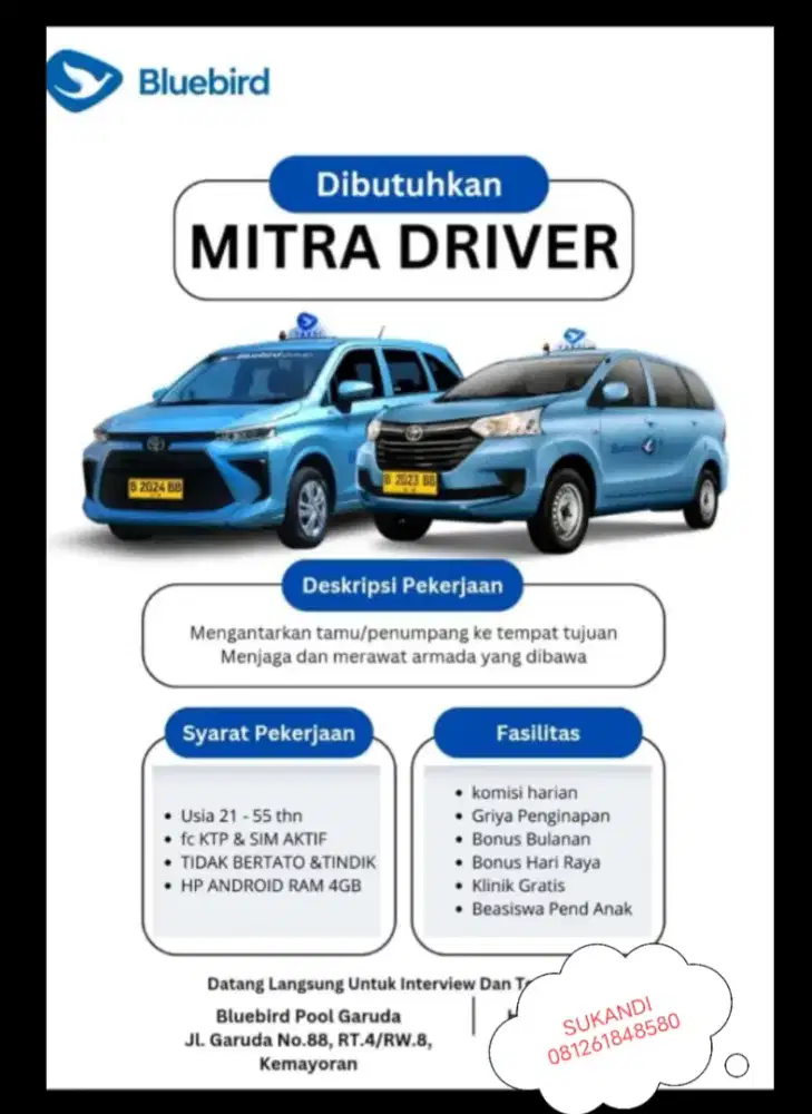Lowongan Driver Bluebird butuh banyak