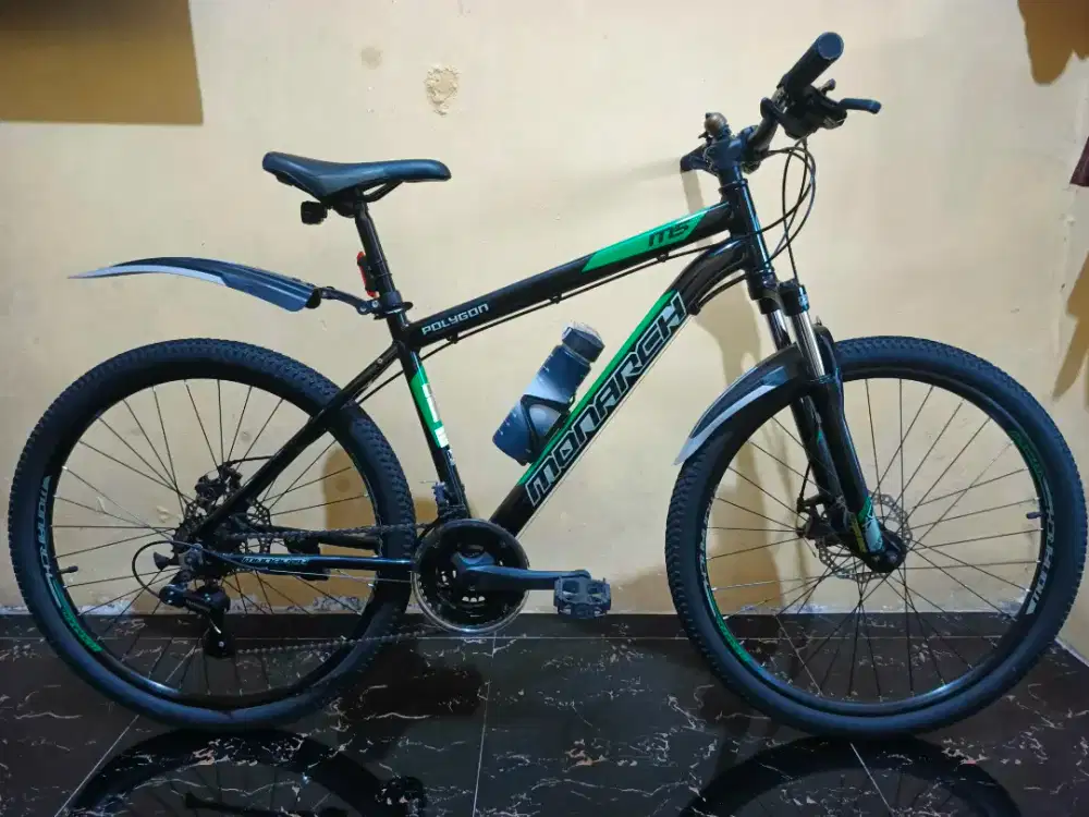 MTB POLYGON MONARCH 5