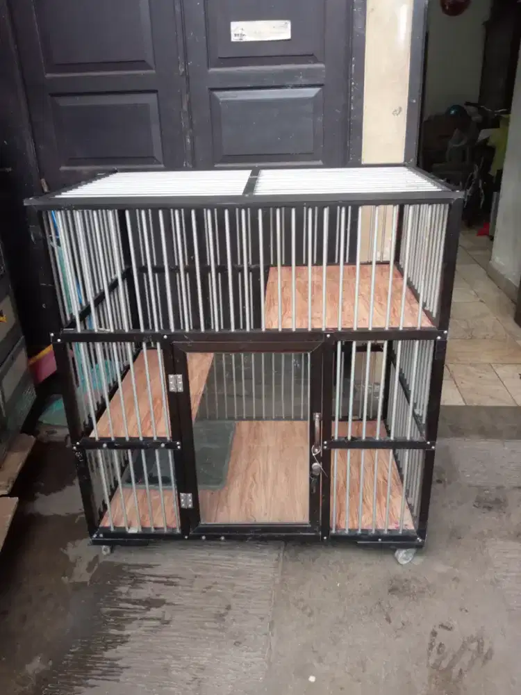 Kandang kucing second