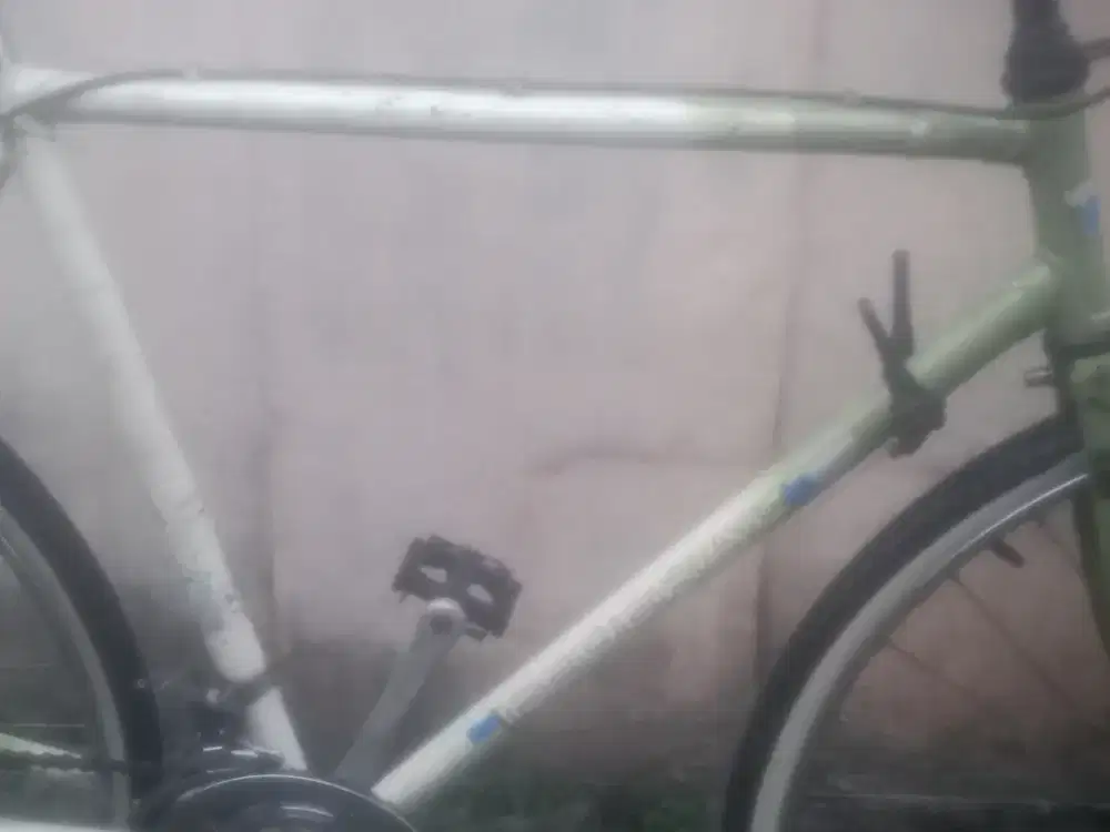 Sepeda federal alpha 550