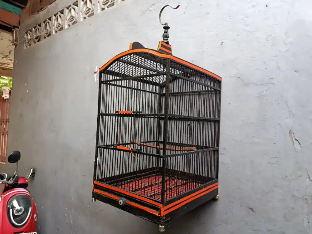 Kandang burung kotak