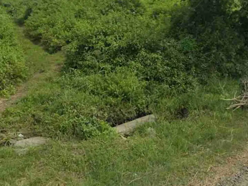 Lahan Industri luas 4 HA harga 980 ribu permeter di Plumpang, Tuban