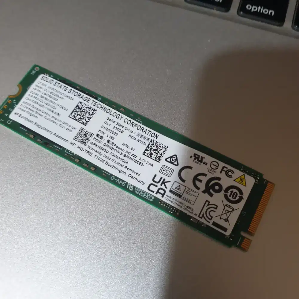 SSD NVME 256GB - SEHAT 100%