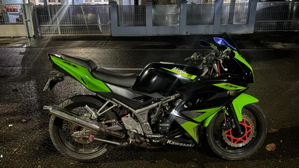 Kawasaki Ninja RR 2014