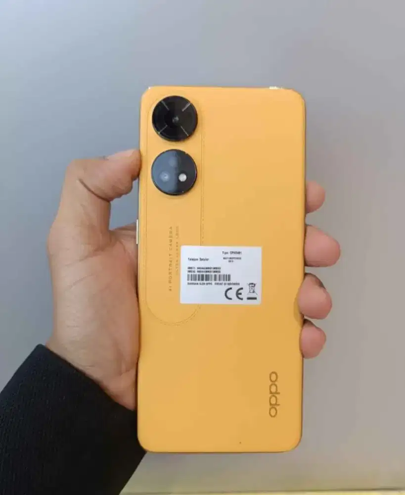Oppo Reno 8T ram 8/256