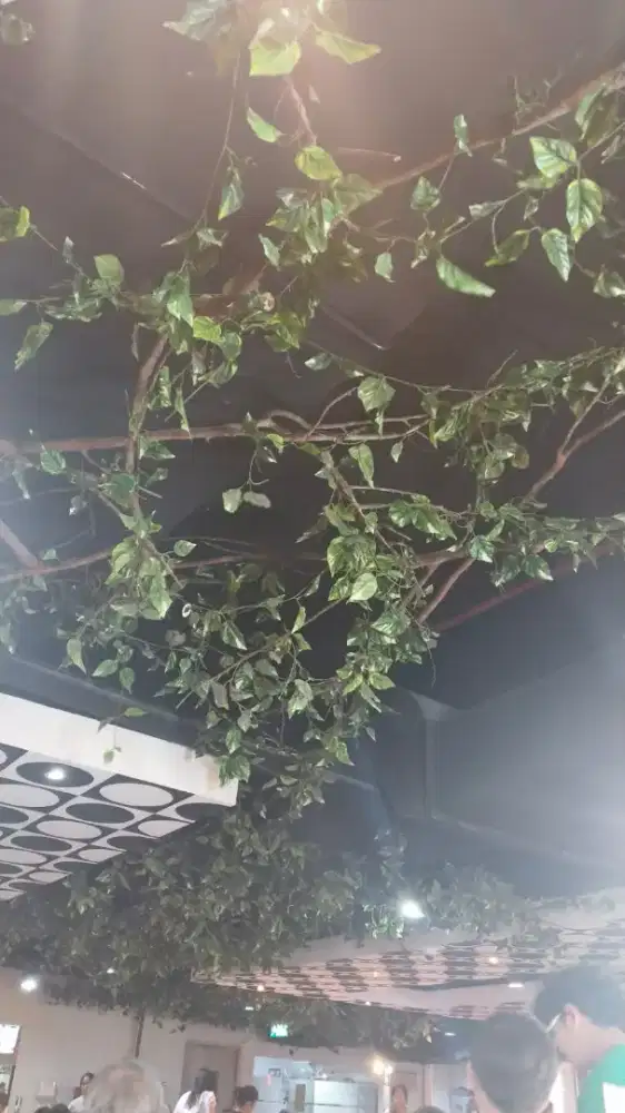 Mencari karyawati kantin