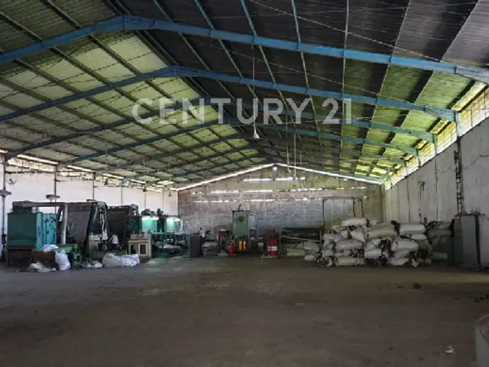 019- GUDANG/PBRK DICIBALIGO DIHIT HRG TNH. COUNTAINER MSK.DKT TOL