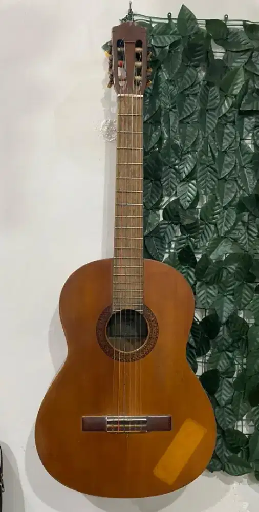 Gitar Akustik Yamaha C-315