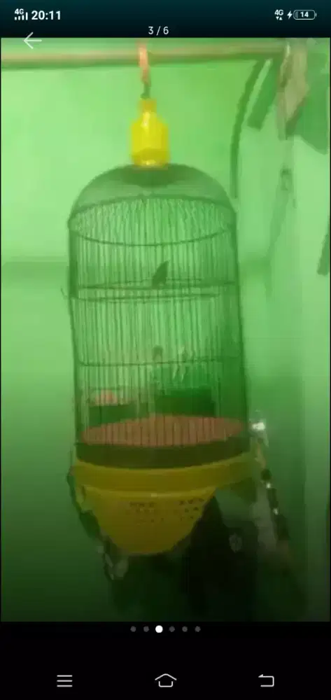 Jual Cepet Lg Bu konin otw mutasi fulset