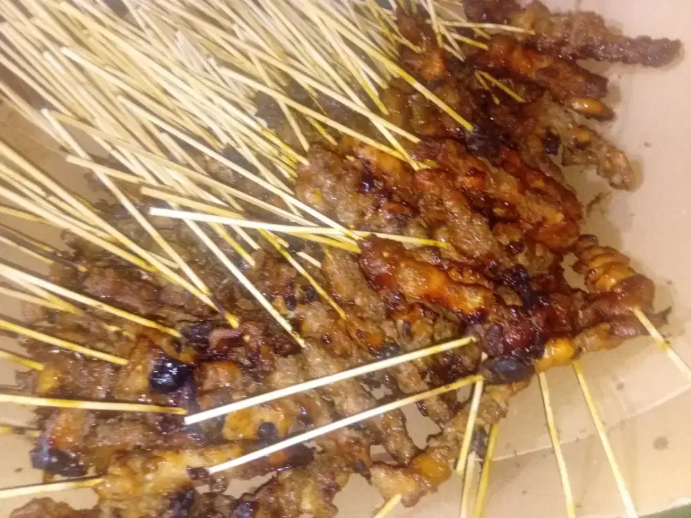 Sate ayam special
