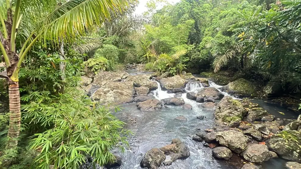 Jual tanah los sungai suasana asri alam pedesaan di tabanan bali.