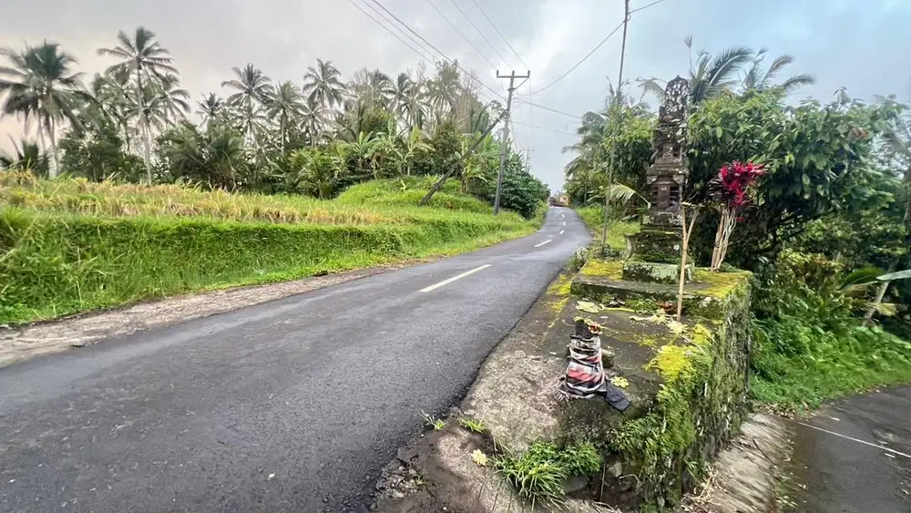 Jual tanah luasan kecil pinggir jalan aspal di tabanan bali