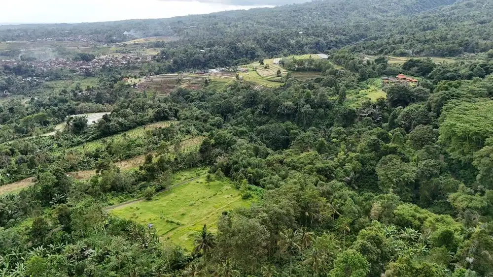 Jual tanah kebun di jatiluwih tabanan bali.