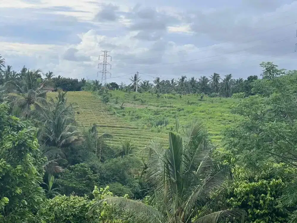Dijual Tanah Strategis View Sawah Dekat Pantai Tabanan Bali
