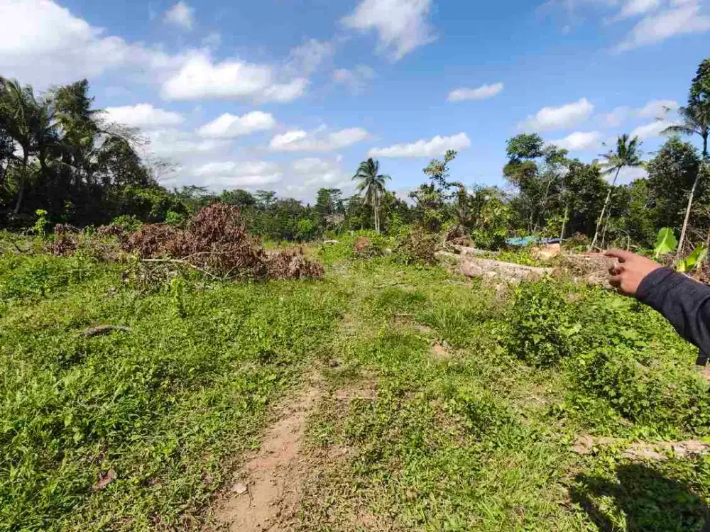 Lahan payogan ubud 3 are zona Kuning SHM ready lingkungan villa nyaman strategis